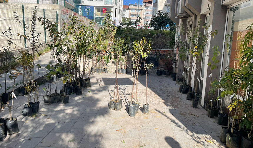 Çerkezköy Ziraat Odası Tarafından Meyve Fidanı Dağıtıldı1